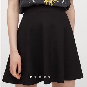 H&M Skater Skirt